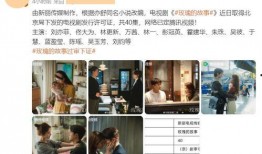 圈子名媛爆料事件视频播放,揭秘背后真相与网络舆论风暴